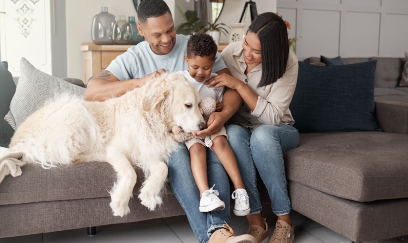 Who Offers Pet-Safe Pest Control Services in San Jose, CA