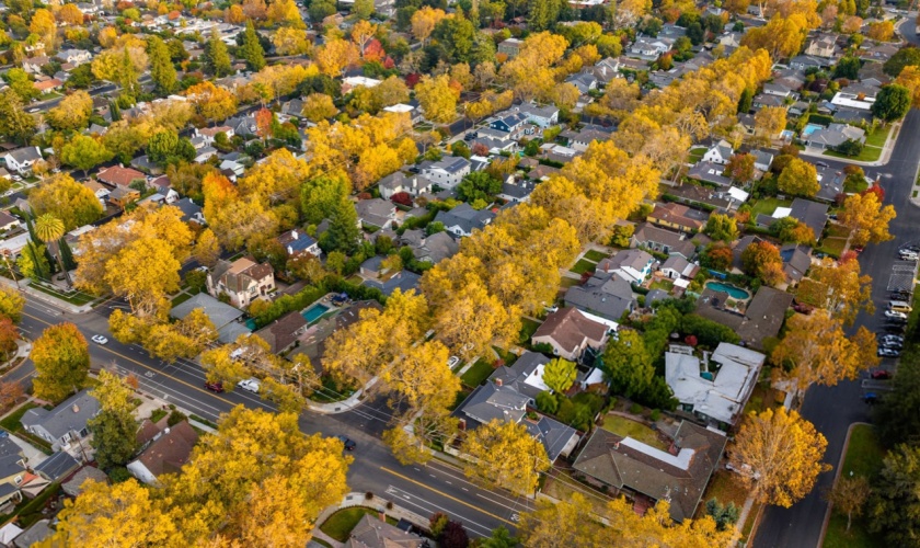 What Time of Year Are Pests Worst in San Jose?