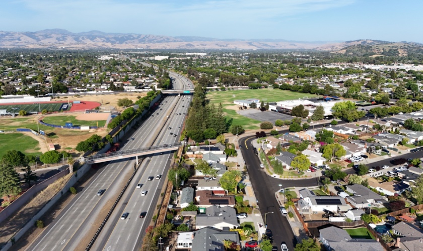 Do I Really Need Pest Control in San Jose, CA?